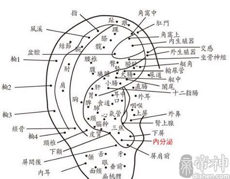 耳垂上有痣|耳朵痣相詳解：你知道耳朵上長痣都代表什麼嗎？